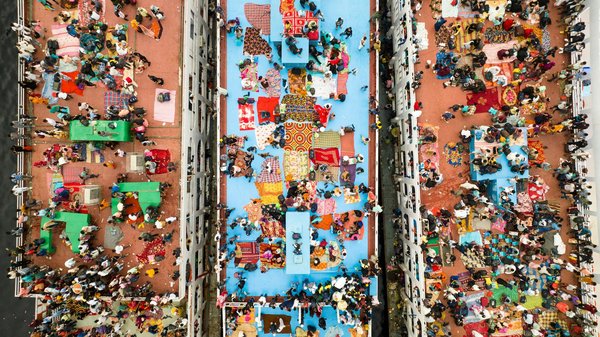 Guide Pratique : Organisez une Journée Inoubliable de Découverte de la Biodiversité pour les Enfants