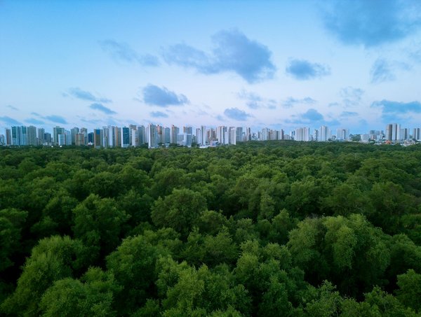 Améliorez votre espace de travail avec un piètement pour bureau