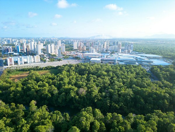 Les meilleures radios de survie : restez informé en toutes circonstances